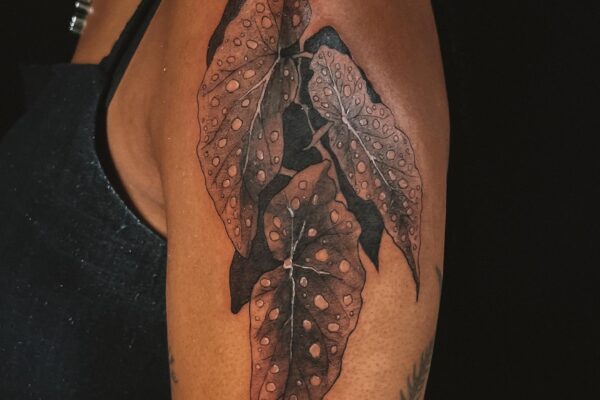 396837894_18402265135028731_5513375341977063506_n